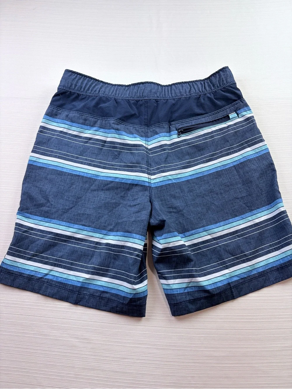 Speedo Men's Dark Blue Swim Shorts with Light Blue and White Stripes